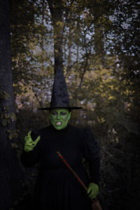 The Wicked Witch of the West Costume