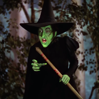 The Wicked Witch of the West Costume